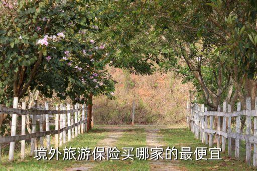 哪里買國際旅游險便宜，請問在哪買旅游保險既便宜又實惠...